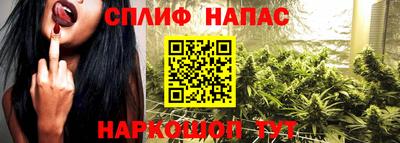 прущие грибы Аргун