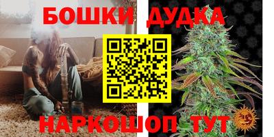 прущие грибы Аргун