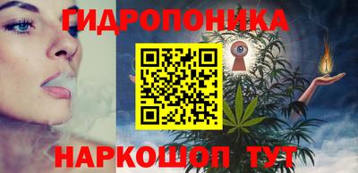 прущие грибы Аргун